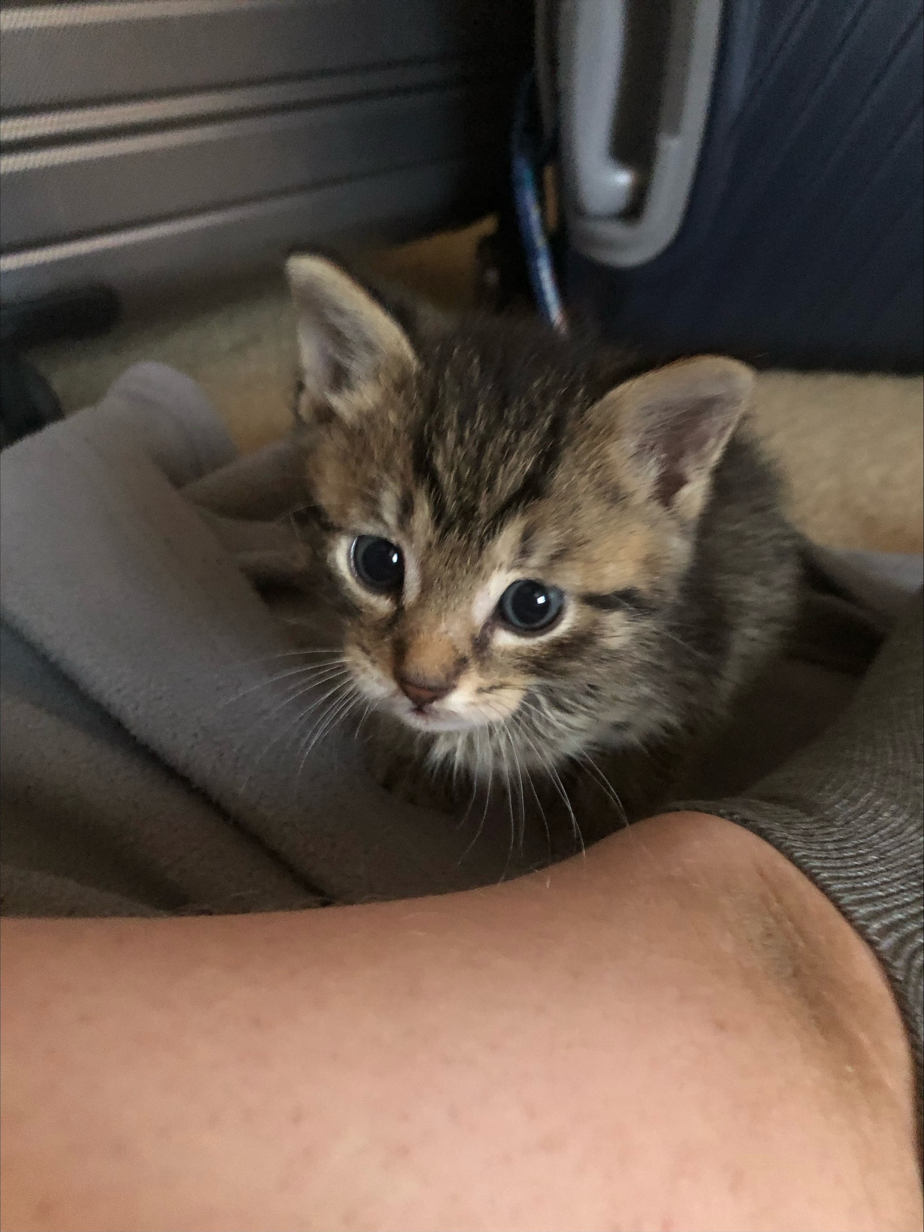 A picture of Coco Bean when he was just a little baby.